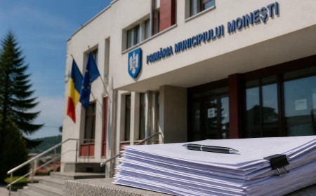 Licitația care începe înainte să se termine: două terenuri ale Moineștiului, trei date și aceeași întrebare pentru administrația Vieru